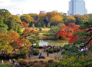 紅葉六義園.png