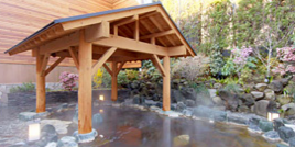 高井戸天然温泉 美しの湯.png