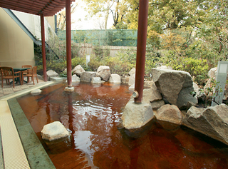 3豊島園庭の湯.png8.png